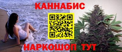 СК Кингисепп