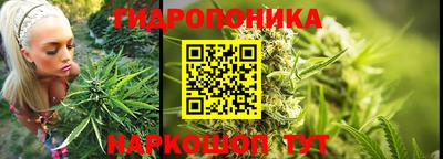 ECSTASY Кимры
