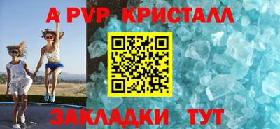 СК Кингисепп