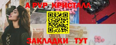 СК Кингисепп