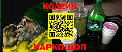 СК Кингисепп