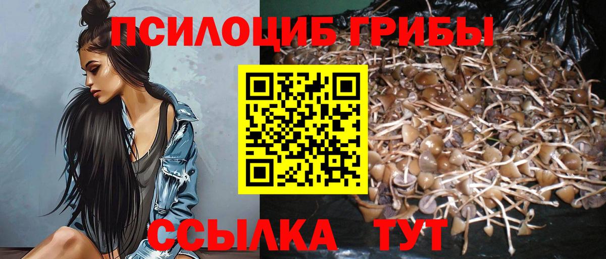 Псилоцибиновые грибы мухоморы  Псилоцибиновые грибы Psilocybine cubensis  Вход с VPN  Котельники 