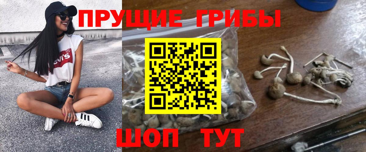 Псилоцибиновые грибы ЛСД Котельники